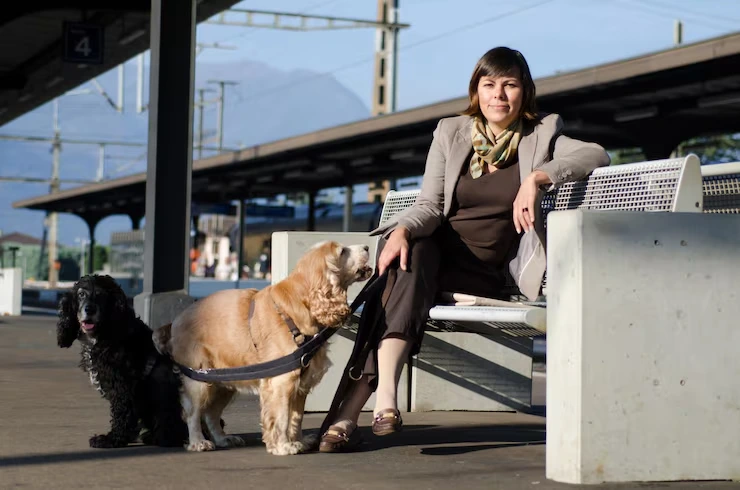 Airport Assistance and Customs Clearance