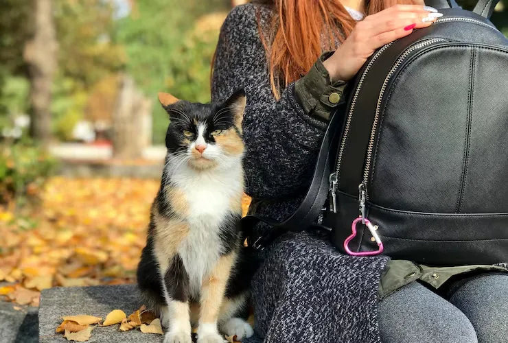 Airport Pickup and Delivery to Final Destination