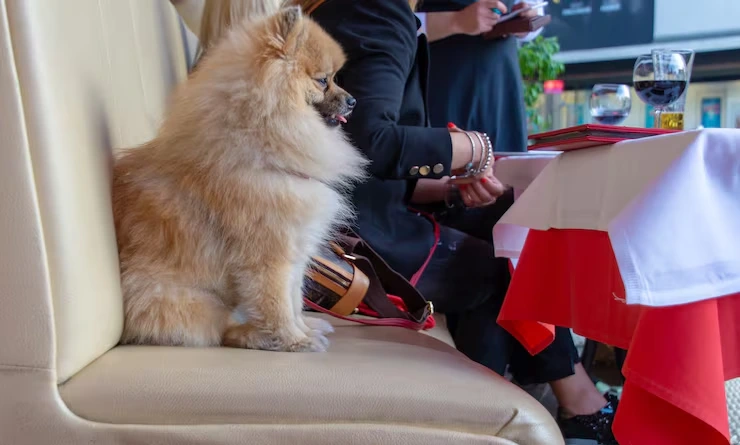 Arrival and Customs Clearance in Bosnia