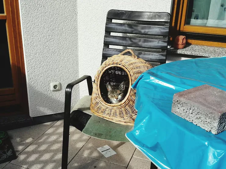 Custom Crating and Accommodation