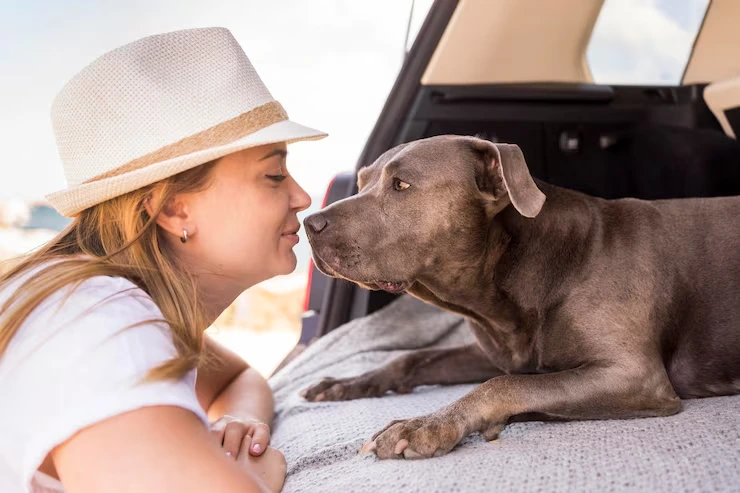 Customized Pet Travel Insurance
