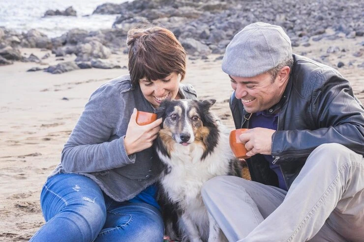 Customized Pet Travel Plans