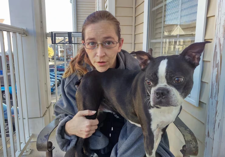 Customs Clearance in Belgium