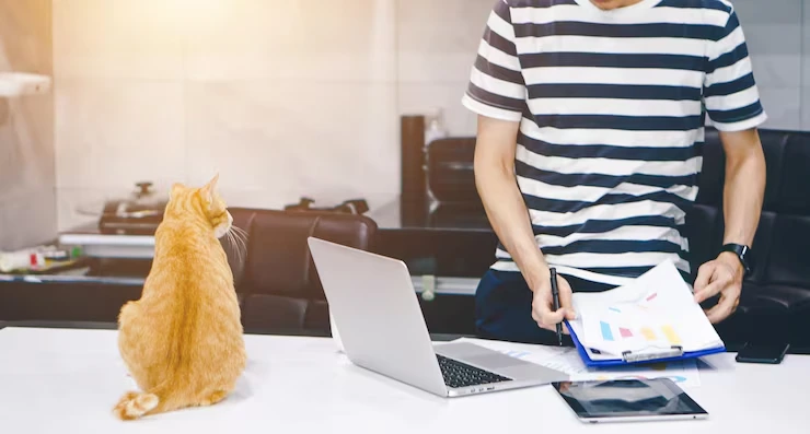 Customs Documentation and Handling