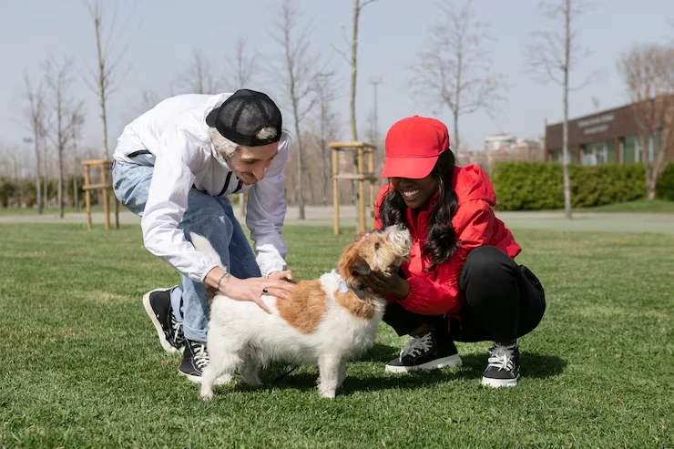 Cyprus Pet Settling Services