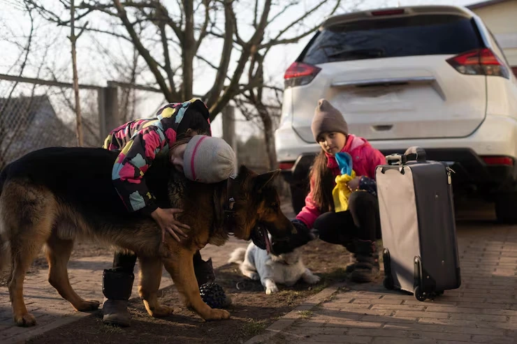 Diplomatic Pet Relocation Services From USA to Serbia