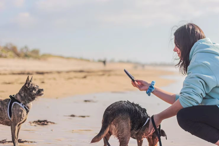 Diplomatic Pet Travel Documentation