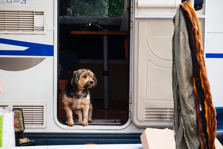 Door-to-Door Transport