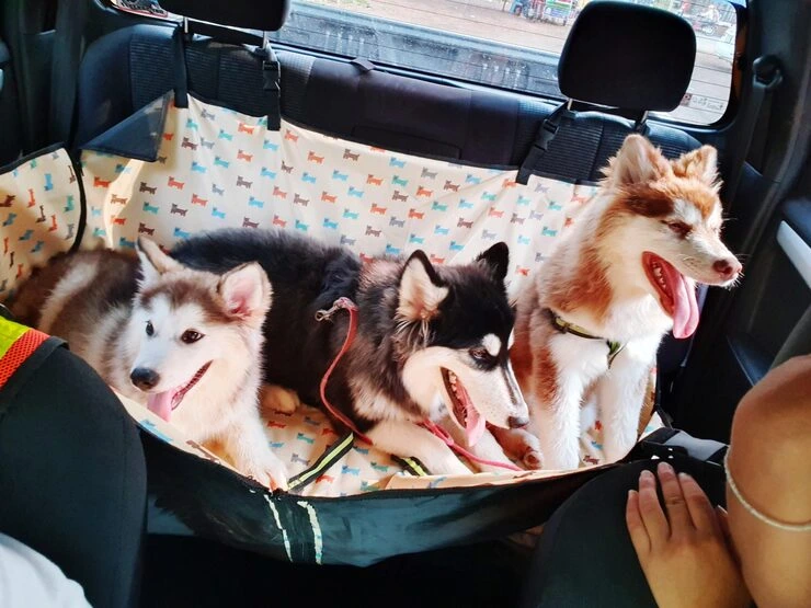 Emergency Transport Services