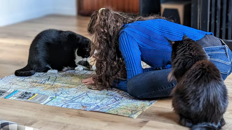 Exotic Pet Relocation Services From the USA to Luxembourg