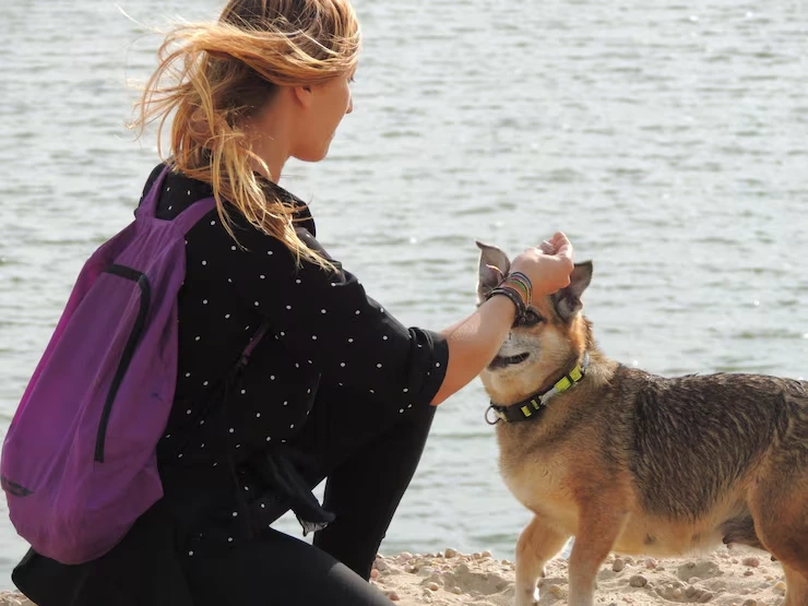 Exotic Pet Relocation Services From the USA to Albania