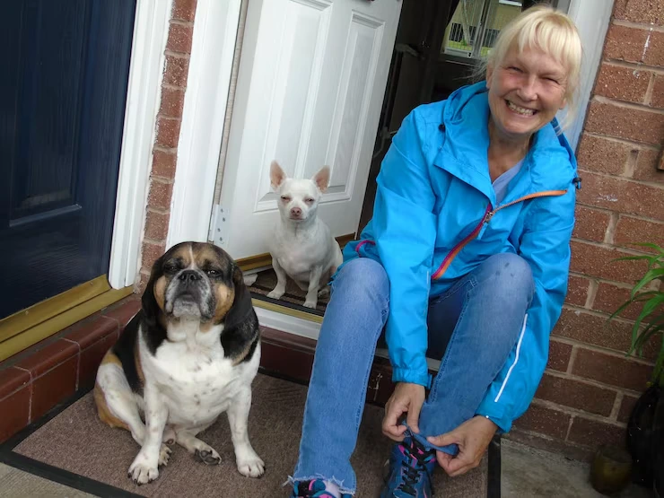 Exotic Pet Relocation Services From the USA to Bosnia