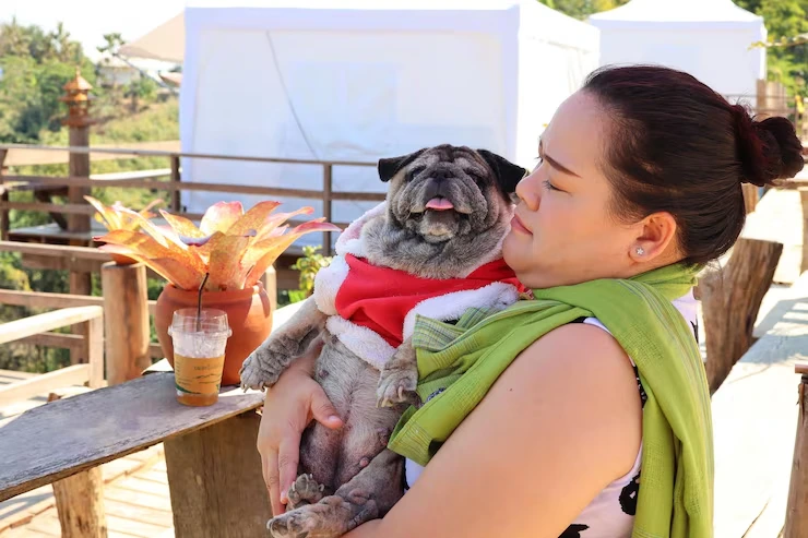 Exotic Pet Relocation Services From the USA to Montenegro