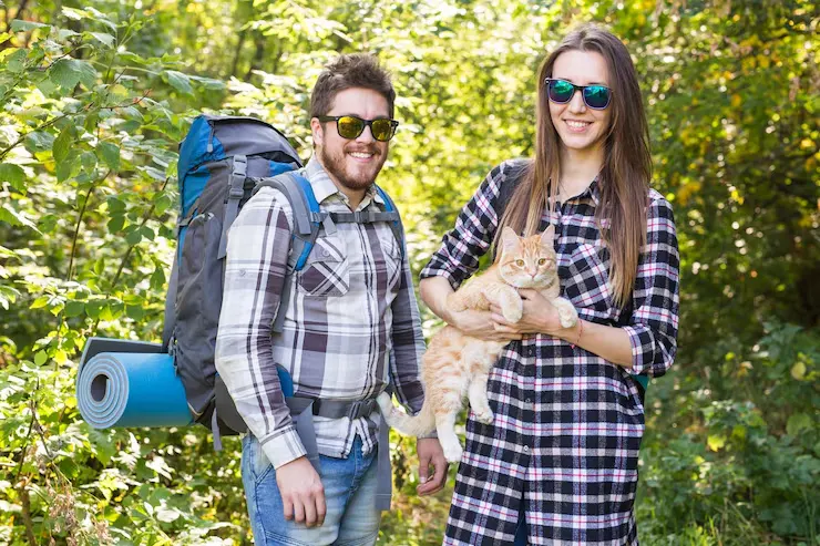 Exotic Pet Relocation Services from the USA to Turkey