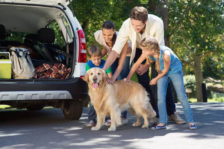 Family & Multi-Pet Relocations