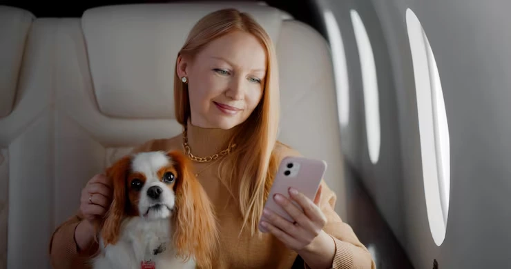 Flight Arrangements and In-Flight Monitoring