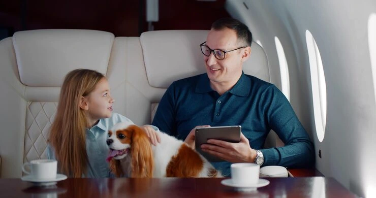 Flight Booking and Travel Coordination