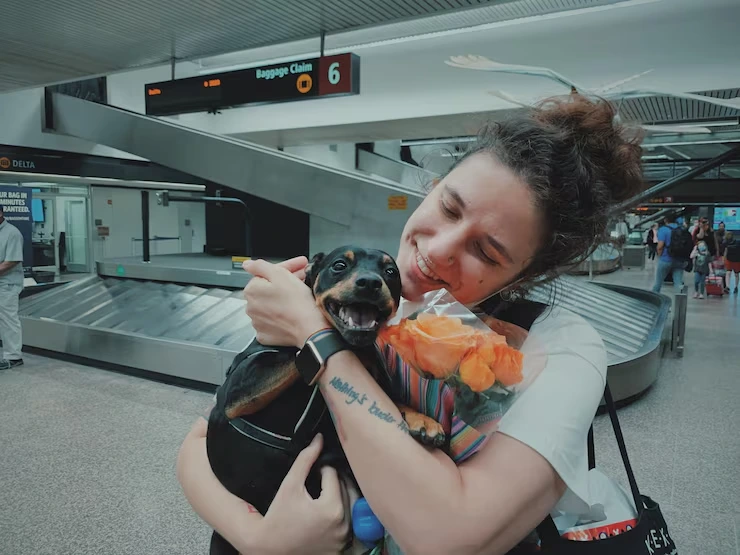 Flight Customization for Pet Comfort