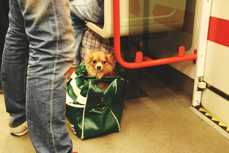 Ground Transportation and Final Delivery