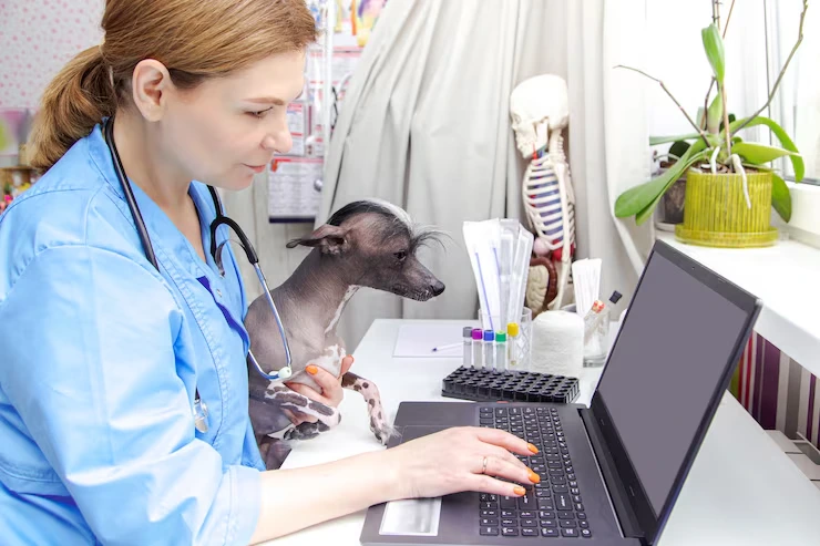Health Certification and Veterinary Compliance