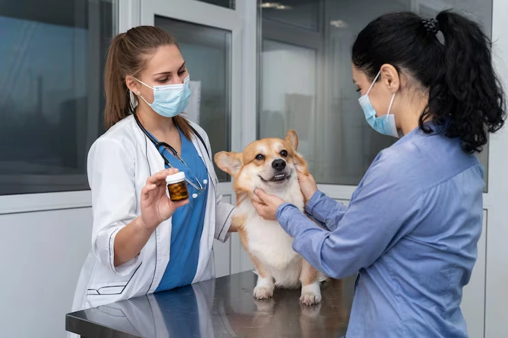 Health and Veterinary Compliance
