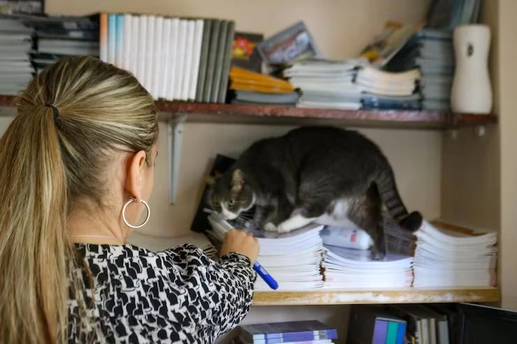 International Pet Documentation & Compliance