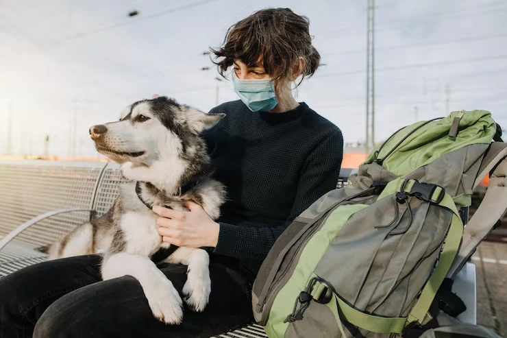 International Pet Travel Planning