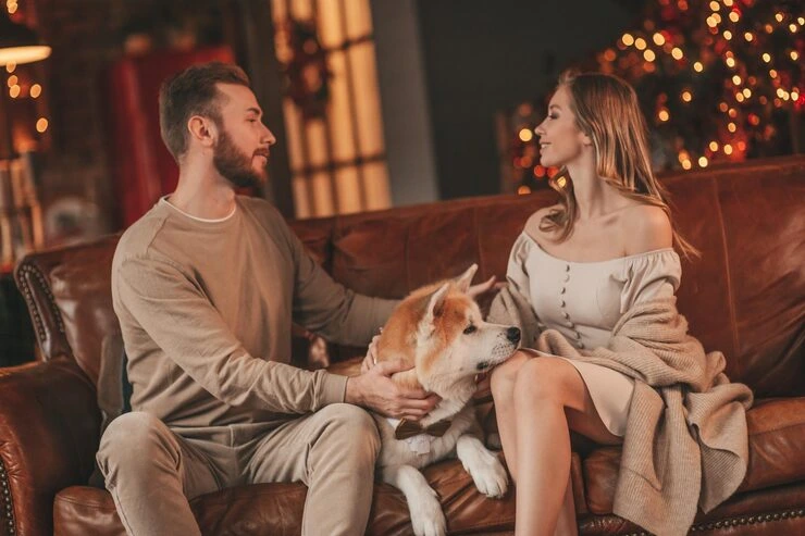 Luxury Cabin for Your Pet