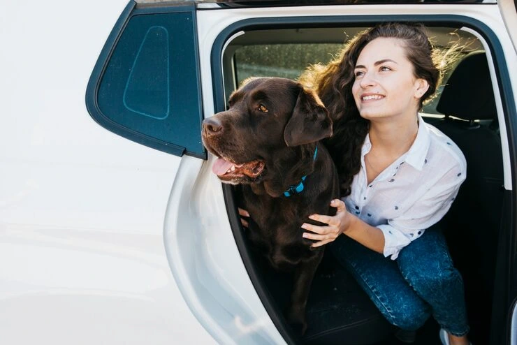 Luxury Dog Transport from USA to Europe Services