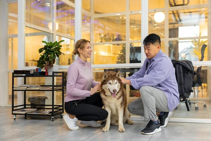 Pre-Transport Crate Training and Comfort Measures