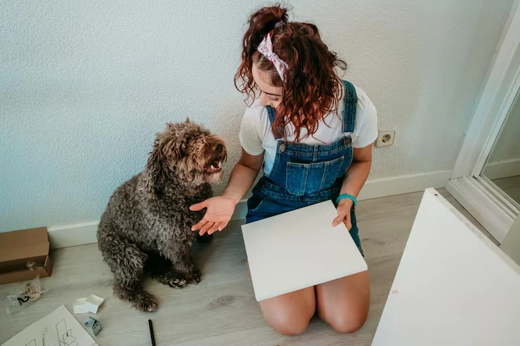 Personalized Pet Relocation Plans