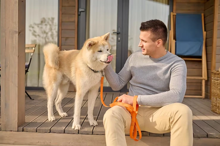 Pet Arrival and Settling-in Services