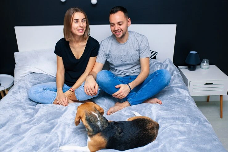 Pet Comfort and Security