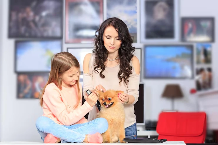 Pet Flight Booking and Route Planning