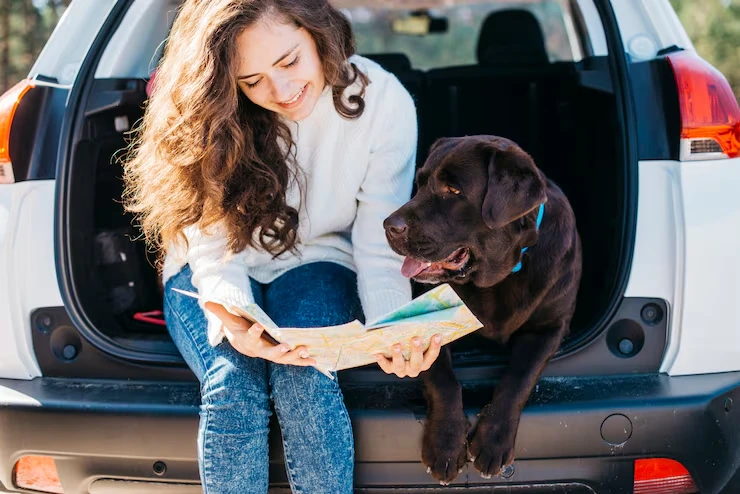 Pet Insurance for Travel