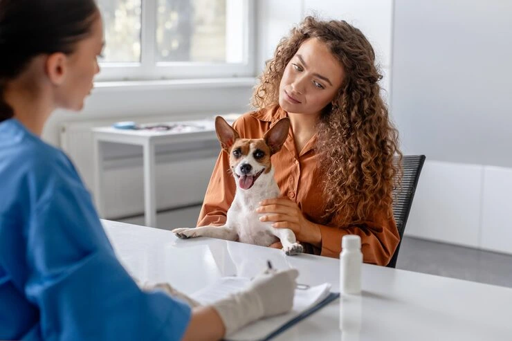 Pet Passport and Health Certificate Assistance
