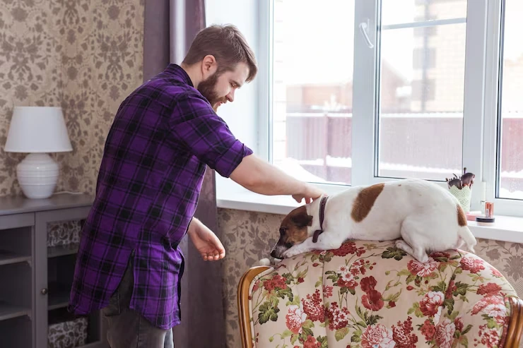 Pet Relocation Assistance