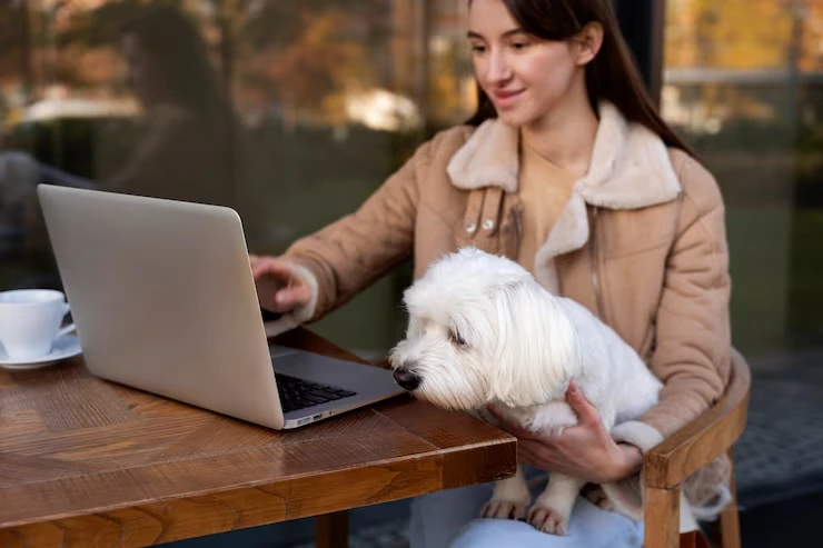 Pet Relocation Monitoring and Tracking