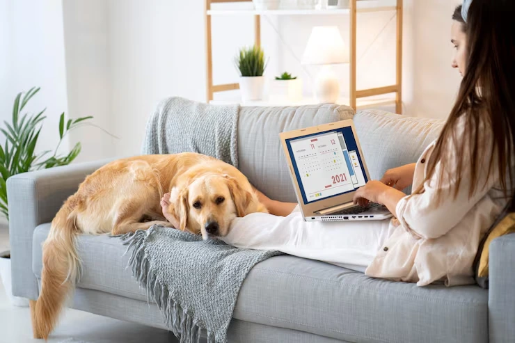 Pet Relocation Planning & Consultation