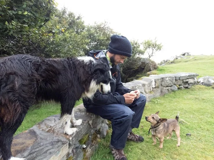 Pet Settling Services in Albania