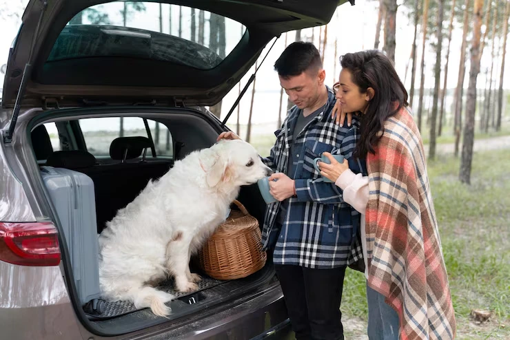 Pet Transport Coordination