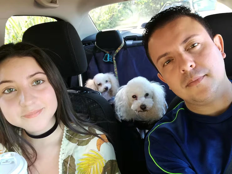 Pet Transport Services from USA to Netherlands