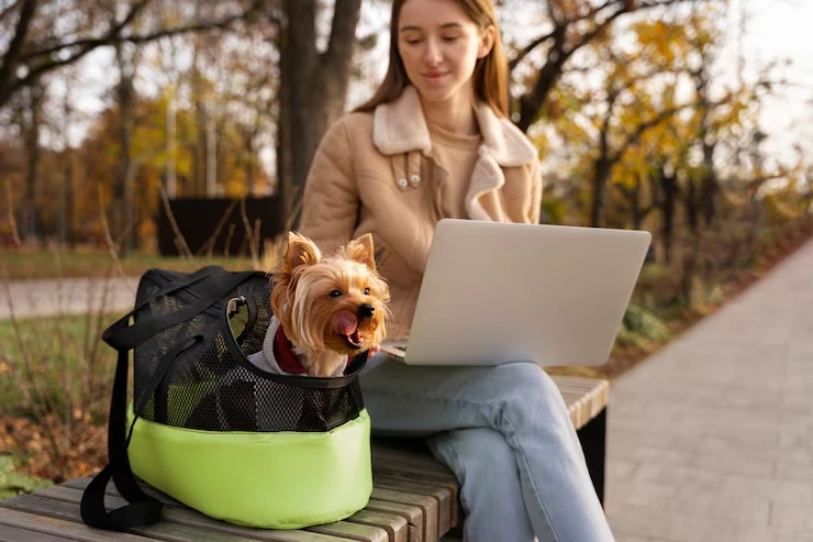 Pet Transport via Diplomatic Channels