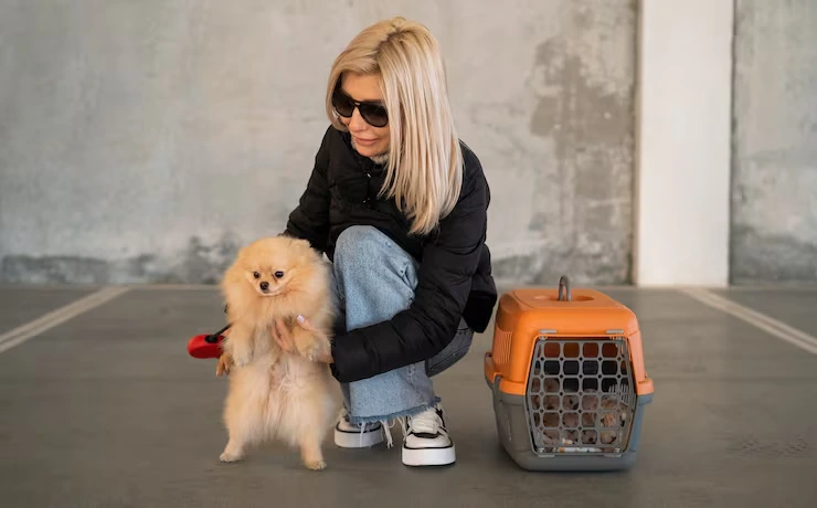 Pet Transport via Private Jet from the USA to Belarus