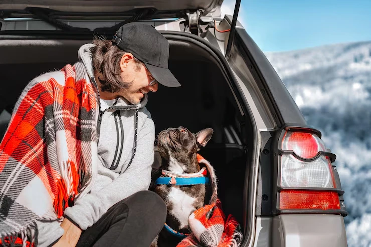 Pet Travel Arrangements