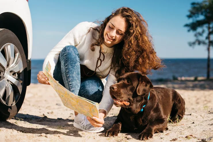 Pet Travel Consultation & Advice
