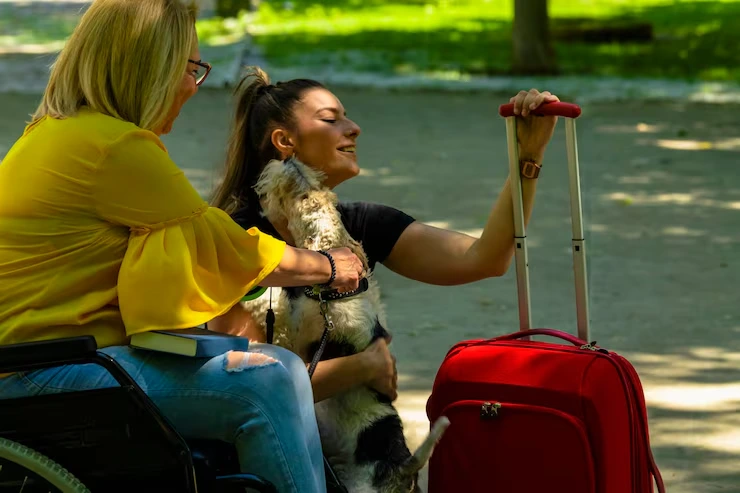 Pet Travel Consultation