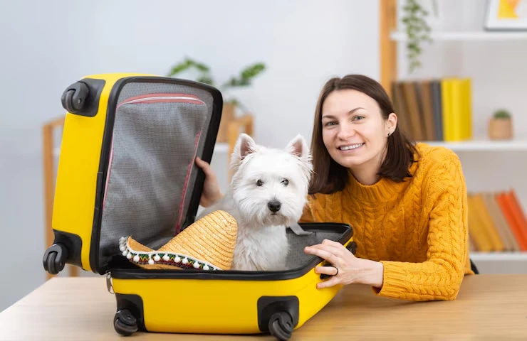 Pet Travel Crates and Carrier Solutions