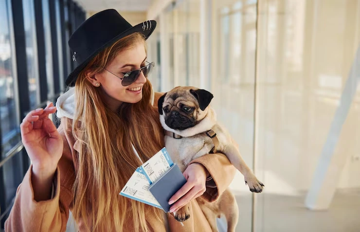 Pet Travel Documentation and Compliance