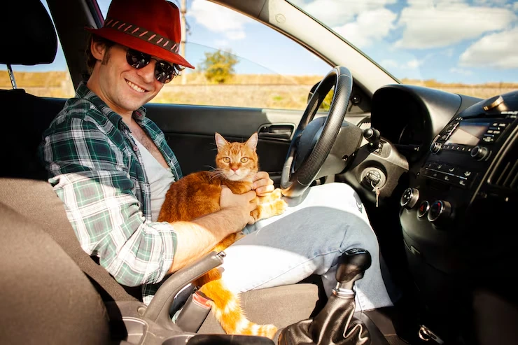 Pet Travel Insurance